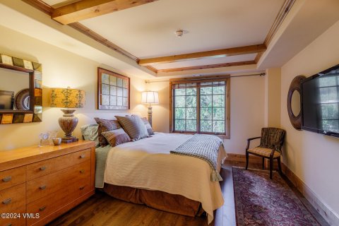 4 chambres Copropriété  à Vail, USA No. 62076 11