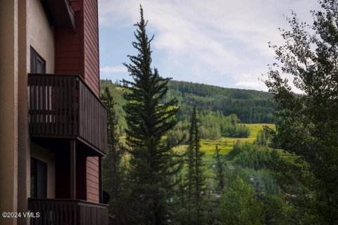 2 chambres Copropriété  à Vail, USA No. 62067 18