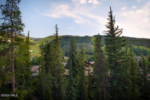 2 chambres Copropriété  à Vail, USA No. 62067 17