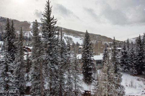 2 chambres Copropriété  à Vail, USA No. 62067 7