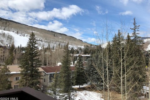 2 bedrooms Condo  in Vail, USA No. 62067 14