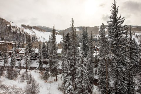 2 chambres Copropriété  à Vail, USA No. 62067 3