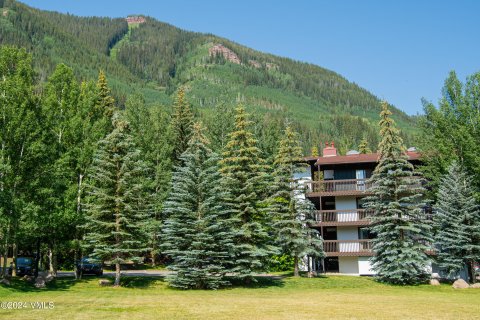 2 chambres Copropriété  à Vail, USA No. 62074 9