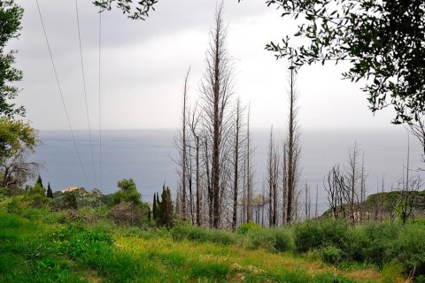 2500m² Land in Corfu, Greece No. 60419 1