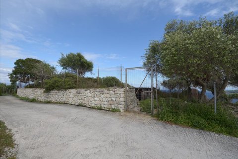 13570m² Land in Corfu, Greece No. 60393 4