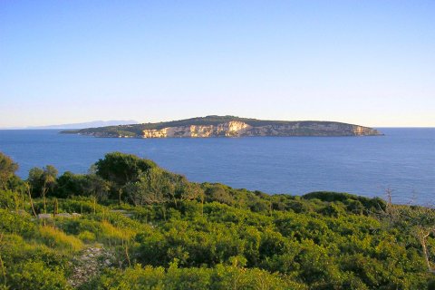 13570m² Land en Corfu, Greece No. 60393 3