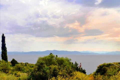 27610m² Land in Corfu, Greece No. 60392 4