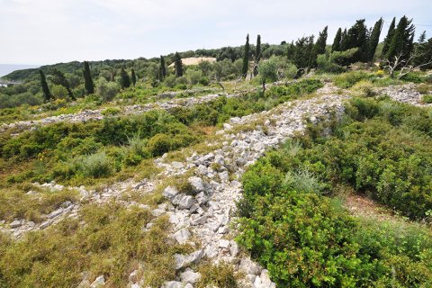 27610m² Land in Corfu, Greece No. 60392 5