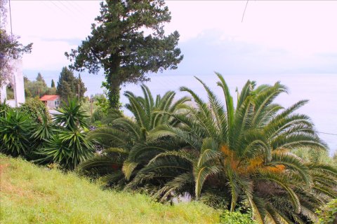 4 chambres House à Corfu, Greece No. 60417 14