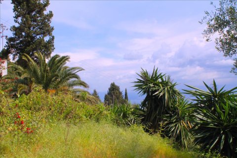 4 chambres House à Corfu, Greece No. 60417 15