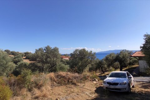 12750m² Land à Chalkidiki, Greece No. 56445 4