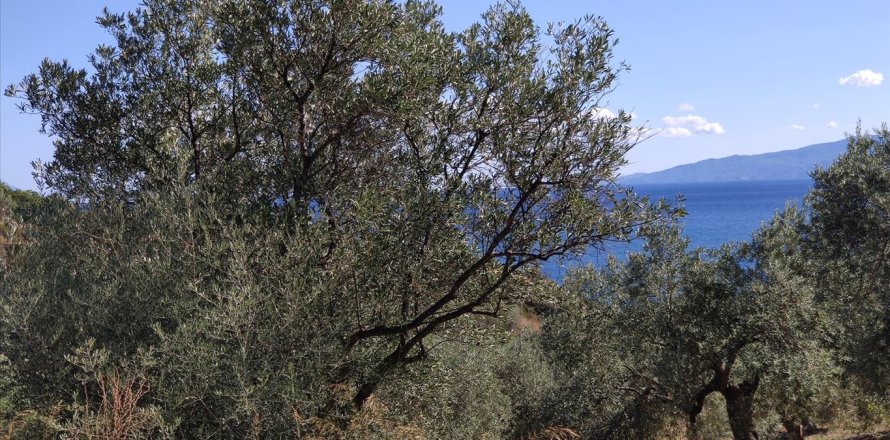 12750m² Land in Chalkidiki, Greece No. 56445