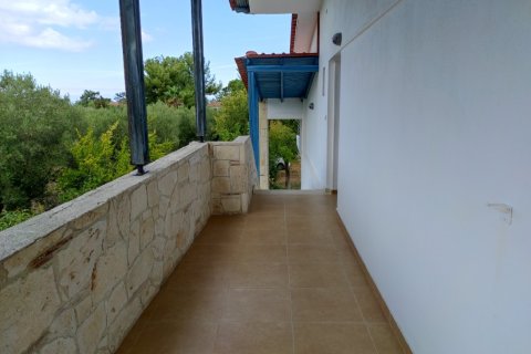 310m² Hotel à Chalkidiki, Greece No. 56448 14