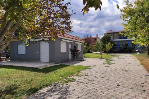 Отель, гостиница 310м² в Халкидики, Греция №56448 17