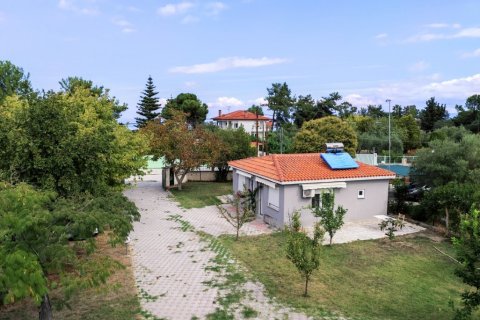 Отель, гостиница 310м² в Халкидики, Греция №56448 16