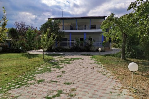 310m² Hotel à Chalkidiki, Greece No. 56448 18