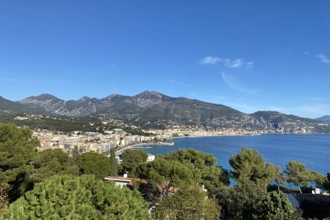 Studio Apartment in Roquebrune-Cap-Martin, France No. 68119 13