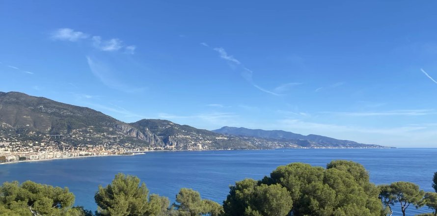 Studio Apartment in Roquebrune-Cap-Martin, France No. 68119