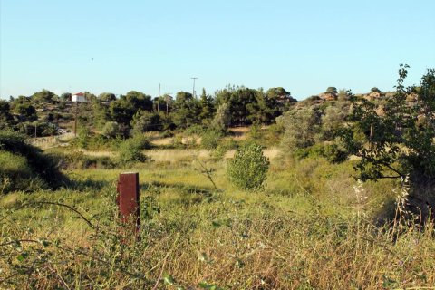 3391m² Land in Chalkidiki, Greece No. 60313 2