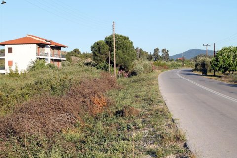 3391m² Land in Chalkidiki, Greece No. 60313 5