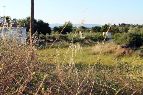 3391m² Land in Chalkidiki, Greece No. 60313 3