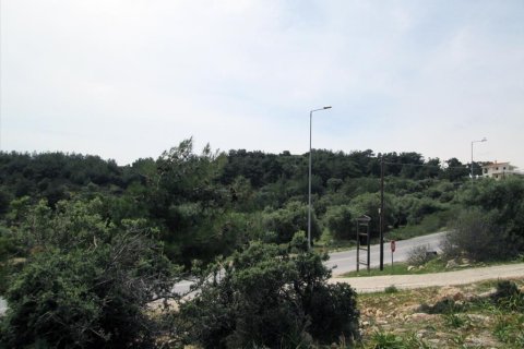 4650m² Land in Thasos, Greece No. 60317 2