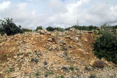 4650m² Land in Thasos, Greece No. 60317 5