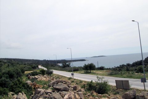 4650m² Land in Thasos, Greece No. 60317 1