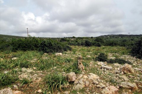 4650m² Land in Thasos, Greece No. 60317 4