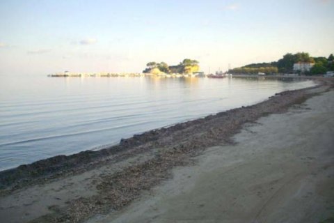 Land in Zakynthos, Greece No. 24611 1