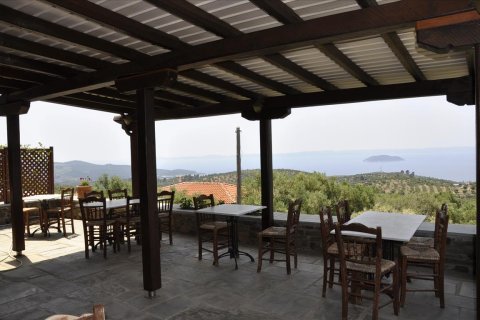 720m² Hotel à Chalkidiki, Greece No. 60345 7