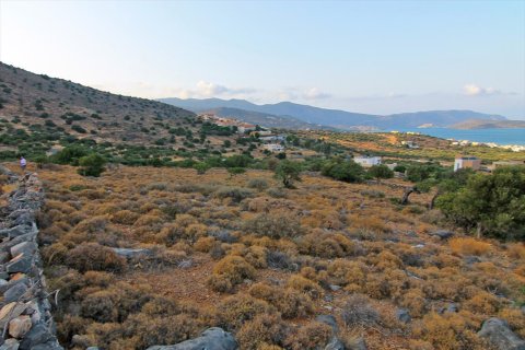 8200m² Land en Agios Nikolaos, Greece No. 60346 5