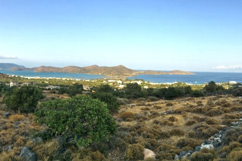 8200m² Land in Agios Nikolaos, Greece No. 60346 2