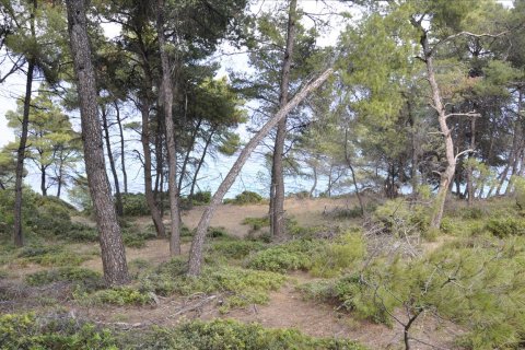 12150m² Land en Chalkidiki, Greece No. 60349 11