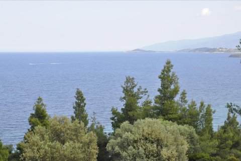 12150m² Land à Chalkidiki, Greece No. 60349 15