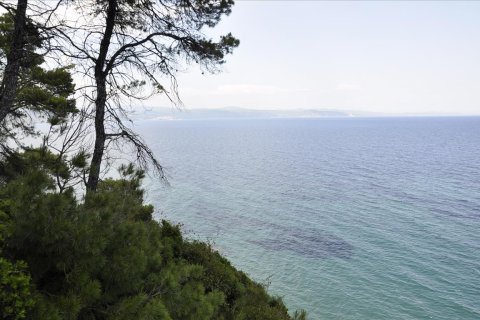 12150m² Land in Chalkidiki, Greece No. 60349 4