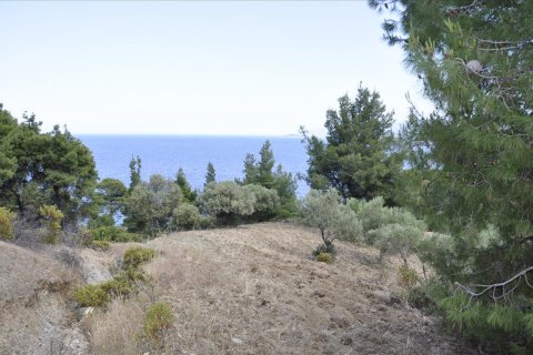 12150m² Land à Chalkidiki, Greece No. 60349 8