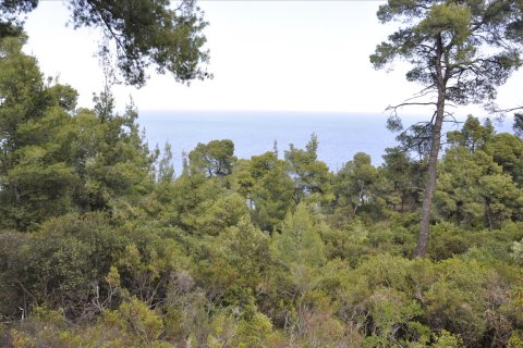 12150m² Land en Chalkidiki, Greece No. 60349 7