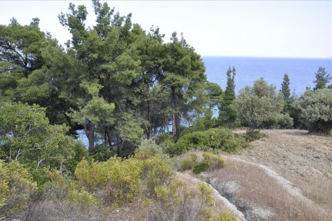 12150m² Land à Chalkidiki, Greece No. 60349 10