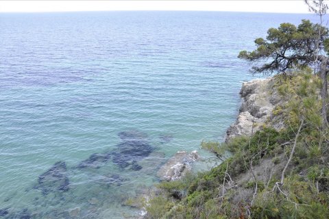 12150m² Land in Chalkidiki, Greece No. 60349 1