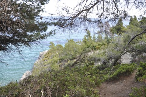 12150m² Land in Chalkidiki, Greece No. 60349 2