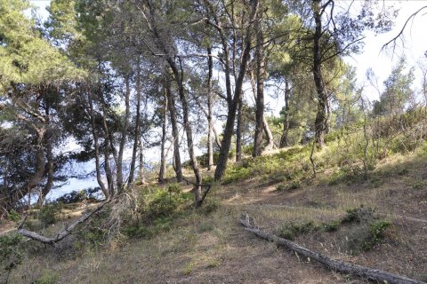 12150m² Land à Chalkidiki, Greece No. 60349 12