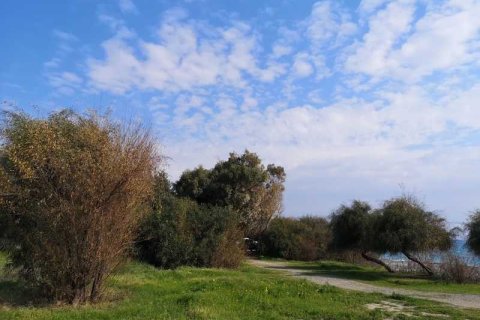 1372m² Land in Pissouri, Cyprus No. 35826 4