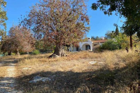 2676m² Land en Chloraka, Cyprus No. 35326 1