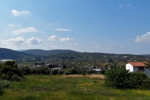 4 chambres Maisonnette à Koropi, Greece No. 57419 1