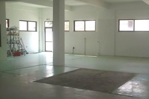 Готовый бизнес 550м² в Айос-Стефанос, Греция №57418 4