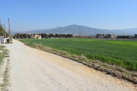 27000m² Land in Epanomi, Greece No. 57417 5