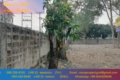 20 dormitorios Land en Chiang Mai, Thailand No. 2221 1