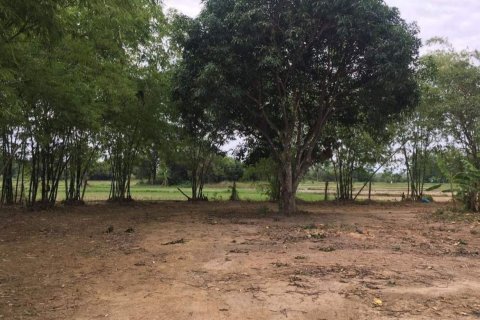 20 dormitorios Land en Chiang Mai, Thailand No. 2222 27