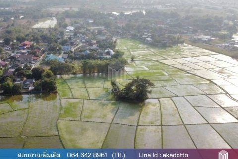 20 dormitorios Land en Chiang Mai, Thailand No. 2222 8